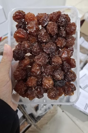 تصویر 4 از فروش عمده آلوچه درجه یک